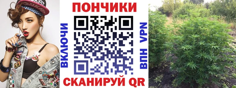 OMG рабочий сайт  Юхнов  Шишки марихуана White Widow 